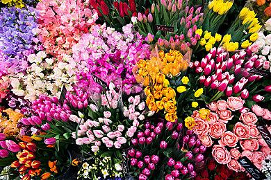 外媒称需要更多像《无名九使》这类游戏 角色丑也没事